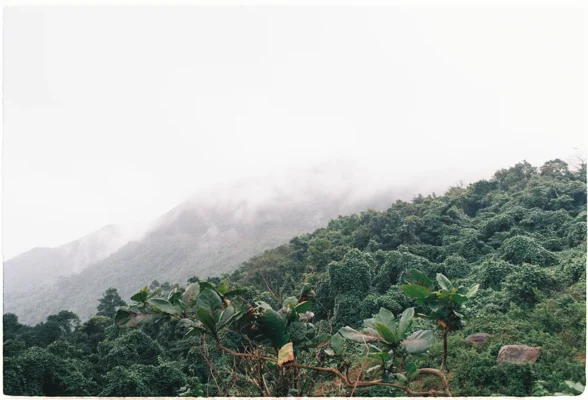 hanh trinh san may deo hai van anh 2